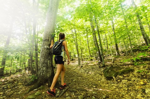 Female hiker in forest