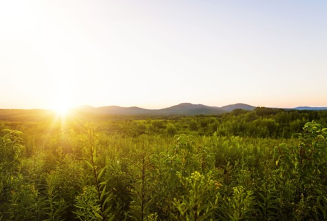 Green valley at sunset