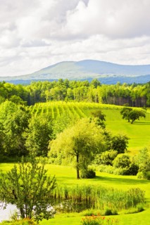 Scenic green landscape under cloudy sky