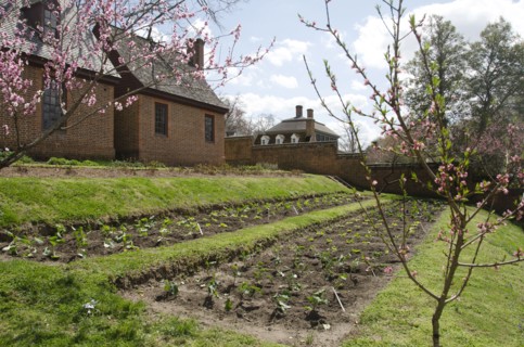House with garden