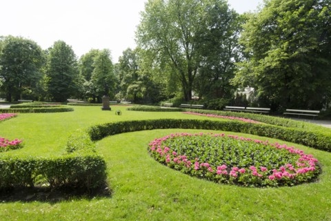 Flowerbed in Lazienki Park