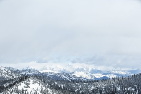Landscape with mountains and forest in winter