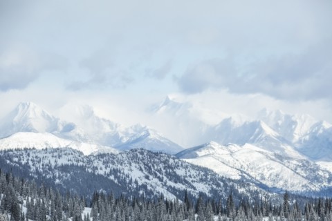 Landscape with mountains and forest in winter