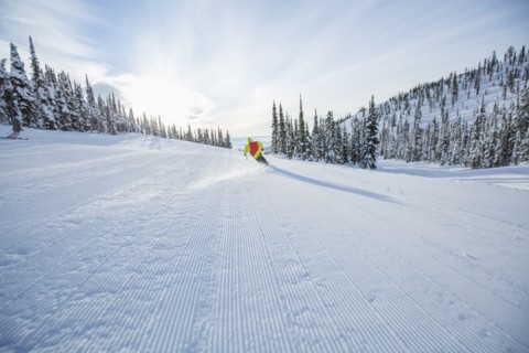 Young man speeding on ski slope