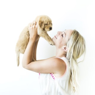 Studio shot of Golden Retriever puppy with owner