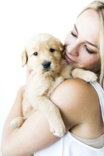Studio shot of woman holding Golden Retriever puppy in arms