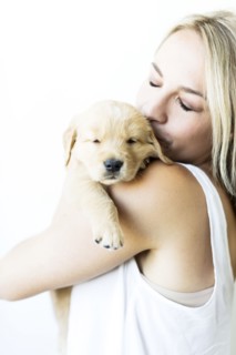 Studio shot of Golden Retriever puppy with owner