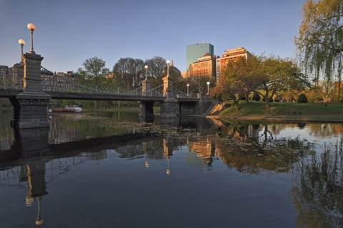 Boston public garden at dawn