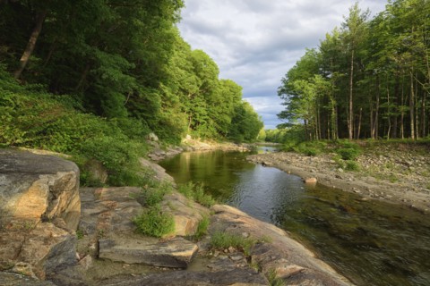 View of Williams River