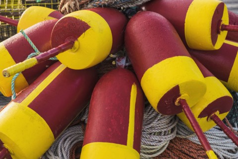 Colorful buoys and ropes