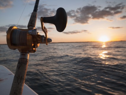 Close-up of fishing rod and reel