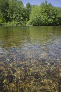 View of river and riverbank