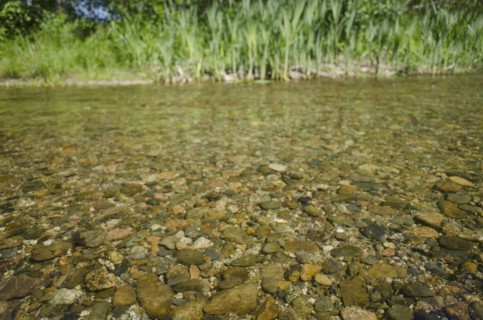 Close-up of water in river