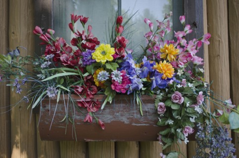 Close-up of potted flowers