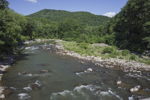 View of river on sunny day