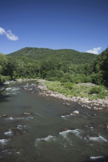 View of river on sunny day