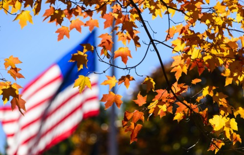 Autumn leaves with American Flag in background. Central Park, New York, New York State, USA.