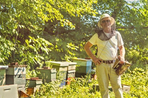 Hope, Portrait of beekeeper in protective mask