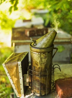 Hope, Bee smoker on beehive