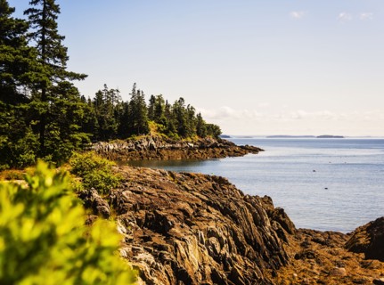 Sea coastline
