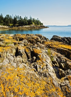 Sea with rocky coastline