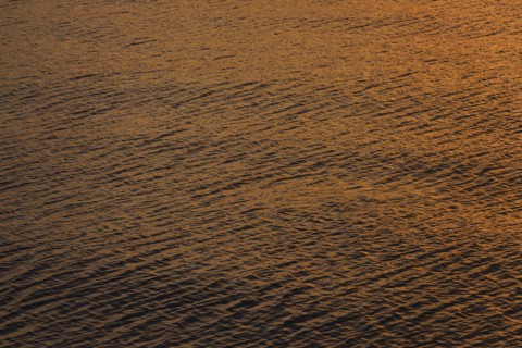 Rippled water reflecting golden light