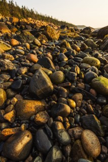 Rocks on beach at sunrise