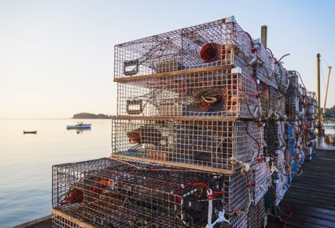 Stacks of lobster traps at sunrise