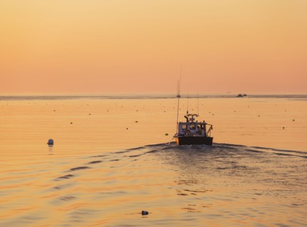 Boat on sea at sunrise
