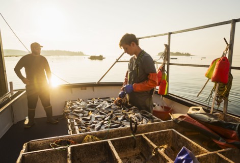 Two fishermen working on boat