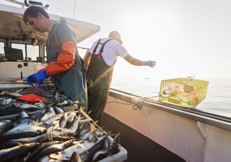 Two fishermen working on boat