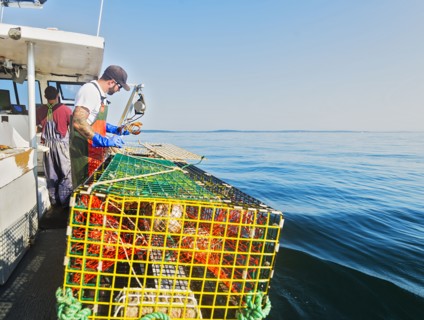 Two fishermen working on boat