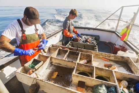 Two fishermen working on boat