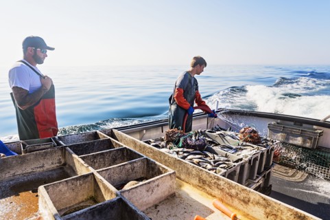 Two fishermen cleaning boat
