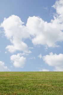 Green meadow with cloudy sky