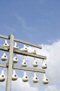 Birdhouses made of gourds