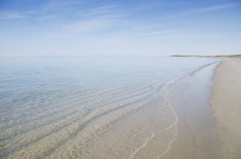 Coastline of sandy beach