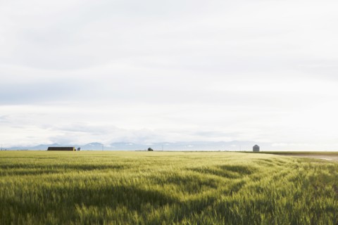 Scenic rural landscape