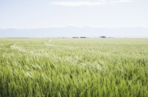 Scenic rural landscape