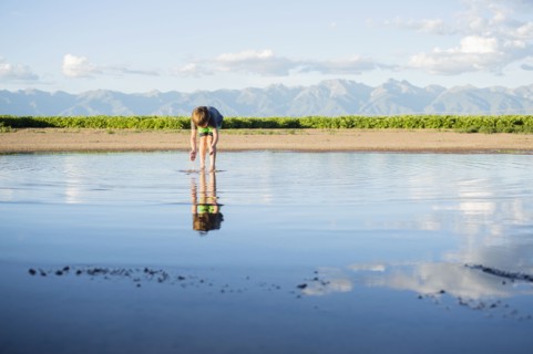 Boy (6-7) wading in water