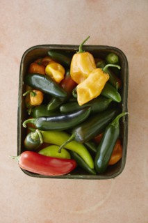 Vegetables in basket