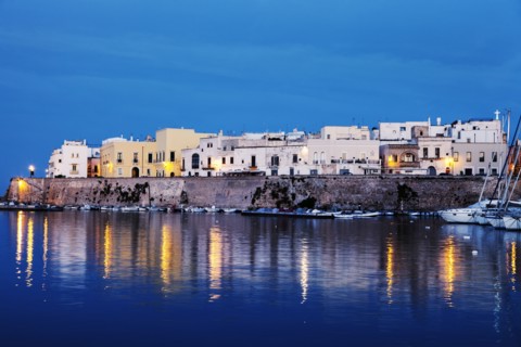 Marina and Castello Angiono at sunrise