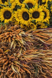 Carrots and sunflowers in farmers market