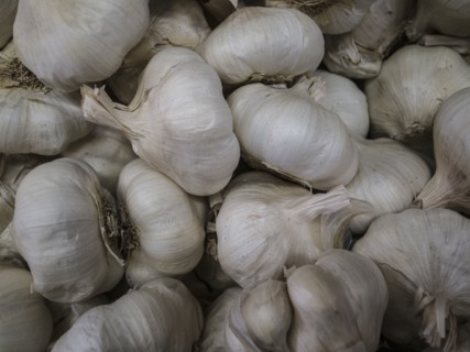 Full frame of white garlic