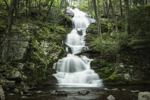 Waterfall falling into river in middle of forest