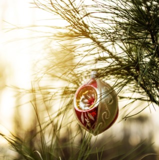 Christmas ornaments hanging from tree.