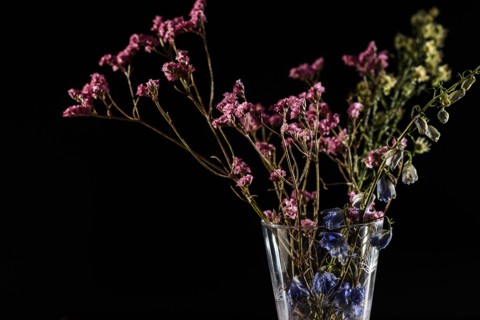 Dried flowers in vase.