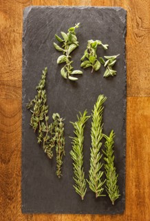 Herbs on tray
