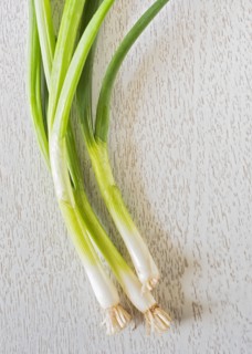 Studio shot of spring onion