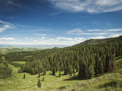 Scenic mountain landscape